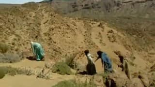 Trois grosses queues pour la beurette