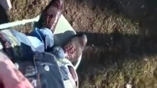 Une petite branlette en extérieur