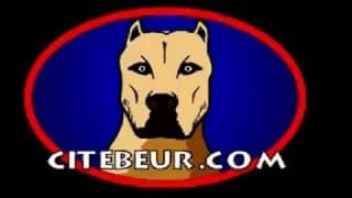 En extérieur deux hommes gays s'amusent !