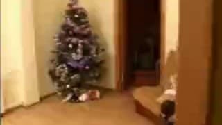 Vérifiez votre âge