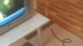 Une petite jeunette qui aime le sexe