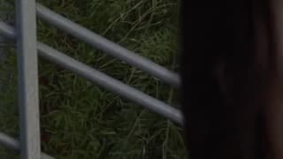 Vérifiez votre âge