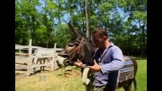 Laura Orsolya aime baiser en extérieur