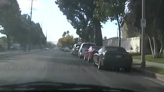 Lauren A une brune avec un bon cul !