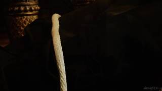 Aletta Ocean s'offre une bonne baise avec un homme bien équipé