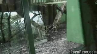 Une petite salope pour des coups de bite sur la gueule