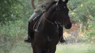 Vérifiez votre âge