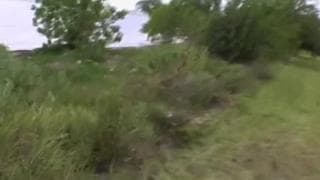 Démontage en règle de Marina Maywood en plein air