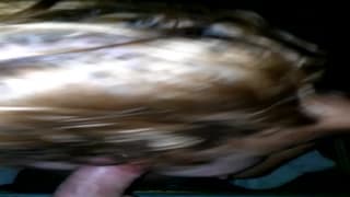 Quand une amatrice torride réalise un gloryhole