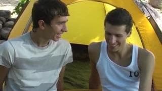 Deux minets tuent le temps en pleine forêt !