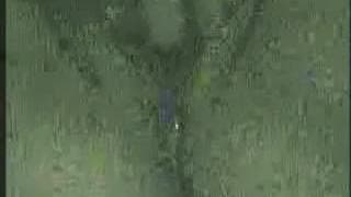 Une bonne masturbation en gros plan