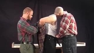 Des collègues qui baisent à trois