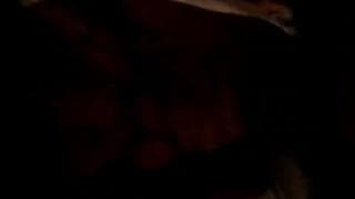 Brunette bien chaude pour une pipe !