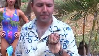 Nikki Montana sur une belle plage