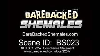 Un trio qui s'amuse avec trans Anal