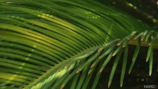 Petit massage en extérieur pour une bombasse