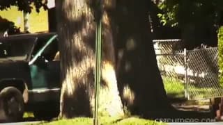 Antonio Biaggi baise Luiss en mode bareback 