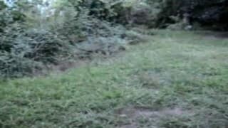 Des caresses en pleine nature pour madame