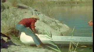 Vintage, Fellation, Acteur Porno, Dogging