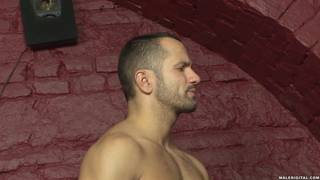 Brun, TTBM, Anal, Mecs Musclés, Full HD, Fellation, DILF, Bareback