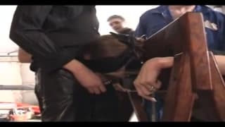 Sado maso sottomissione jolie blonde 