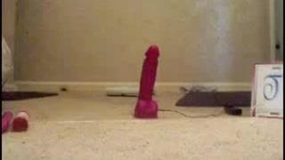 Quelques dildos qu'elle va bien tester
