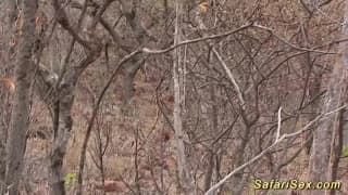 Vérifiez votre âge