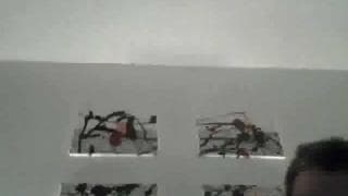 Vérifiez votre âge