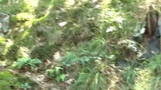 Petite baise entre mecs militaires !