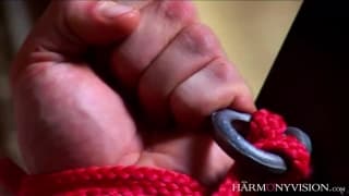 Stella Delacroix et Mai Bailey de femdom chaudes