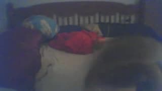 Vérifiez votre âge