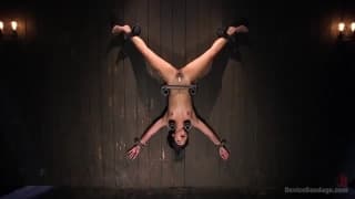 Elles se font torturer, et elles adorent ça...