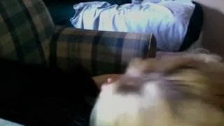 Vérifiez votre âge