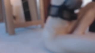 Vérifiez votre âge