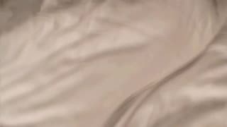 Vérifiez votre âge