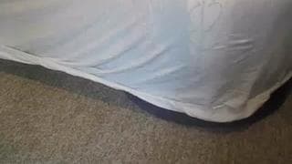 Vérifiez votre âge