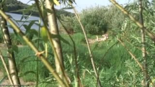 Vérifiez votre âge