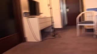 Vérifiez votre âge