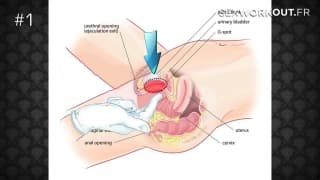 How2fuck : jeux sensuels avec sex-coach