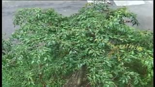 Vérifiez votre âge