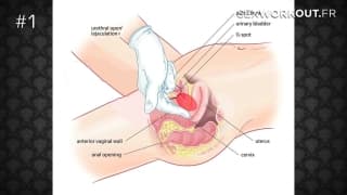 How2fuck : comment satisfaire son épouse