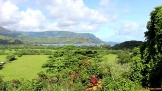 Vérifiez votre âge