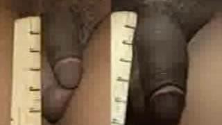 Keisha Grey aime sucer de gros dards !