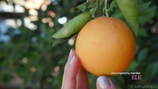 Vérifiez votre âge