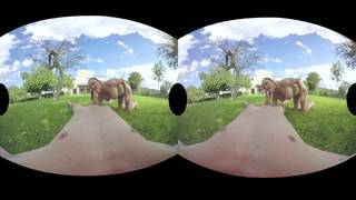 Sara s'exhibe, se masturbe et se met à genoux pour pépom la queue