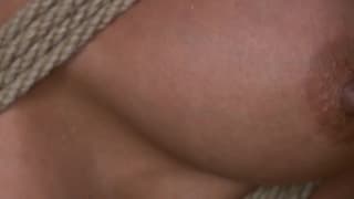 Vérifiez votre âge