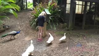Vérifiez votre âge