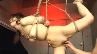 Medley de BDSM de plaisirs sexuels asiatique