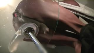 Amateurs, Branlette, Anal, Sextoys