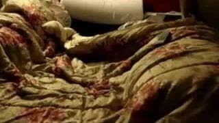 Vérifiez votre âge